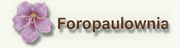 Foropaulownia